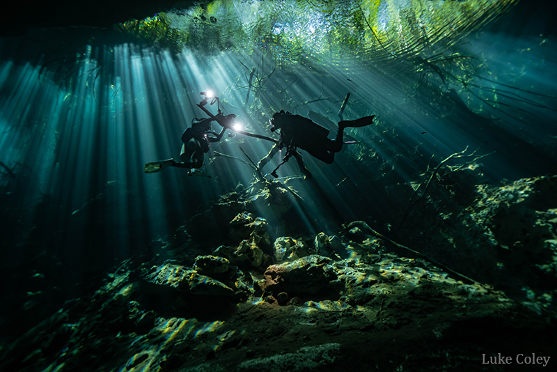 Top 11 Tips for Cenote Photography Underwater Photography Guide